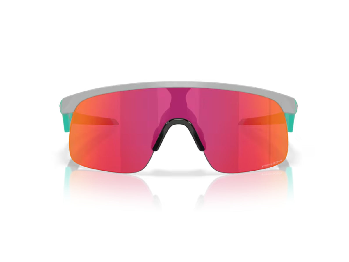 Oakley Resistor - Matte Fog Prizm Field