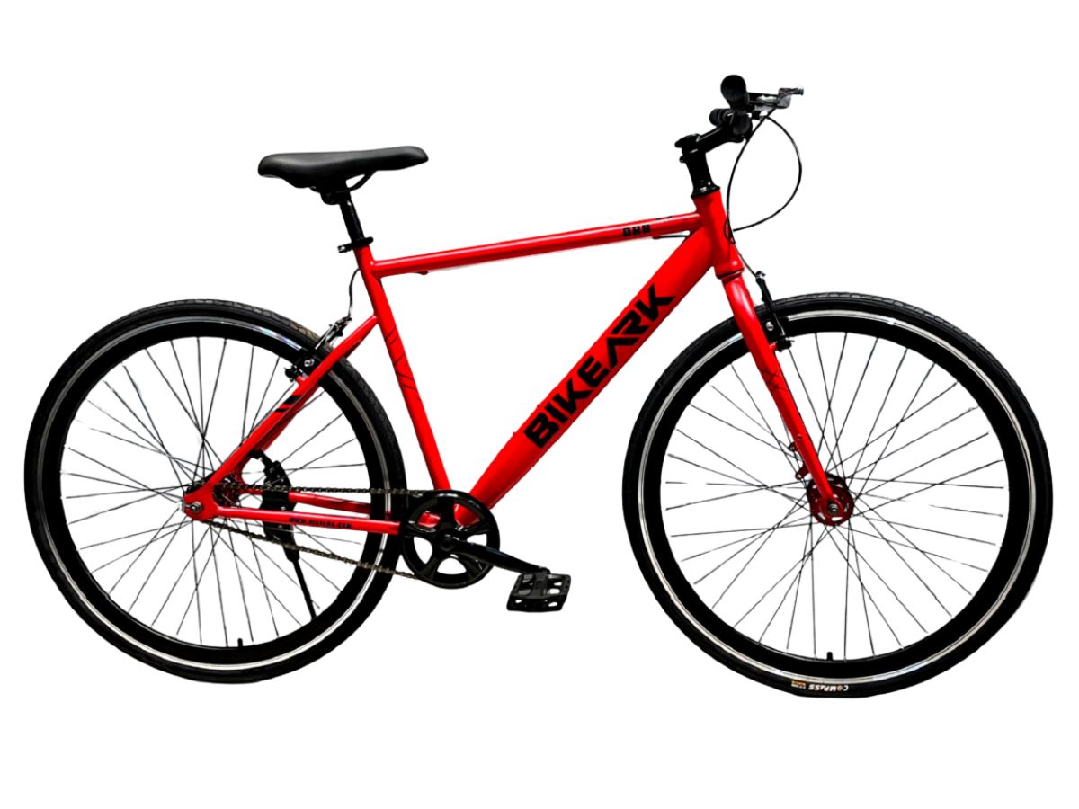 Bike Ark ORB 700C SS