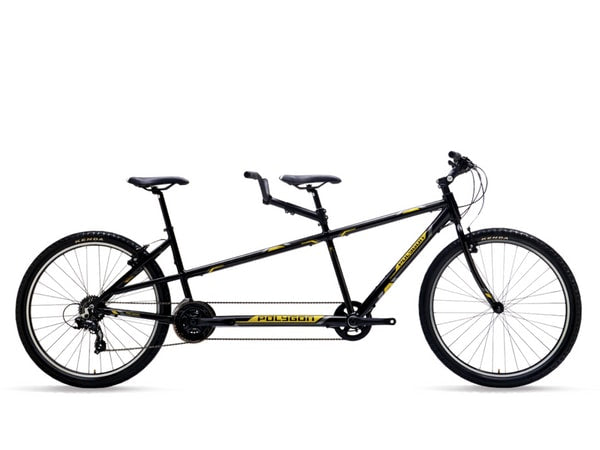 Polygon Impression AX (2019)