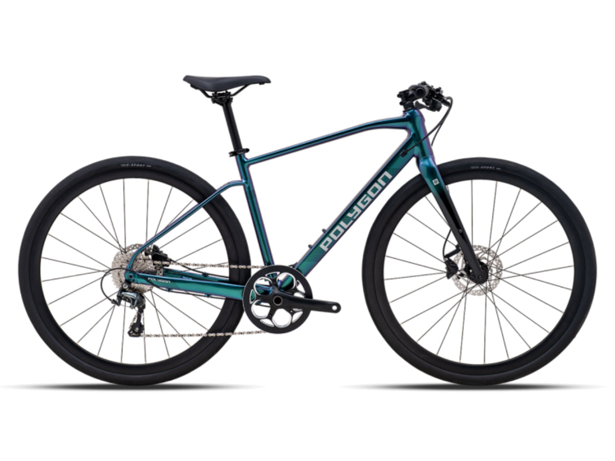 Polygon Path 4 (2022)