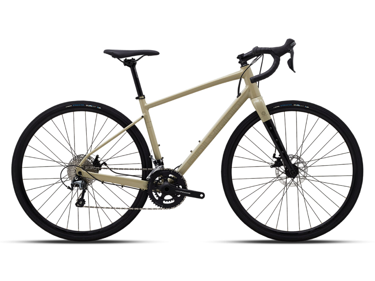 Polygon Path X4 (2024)