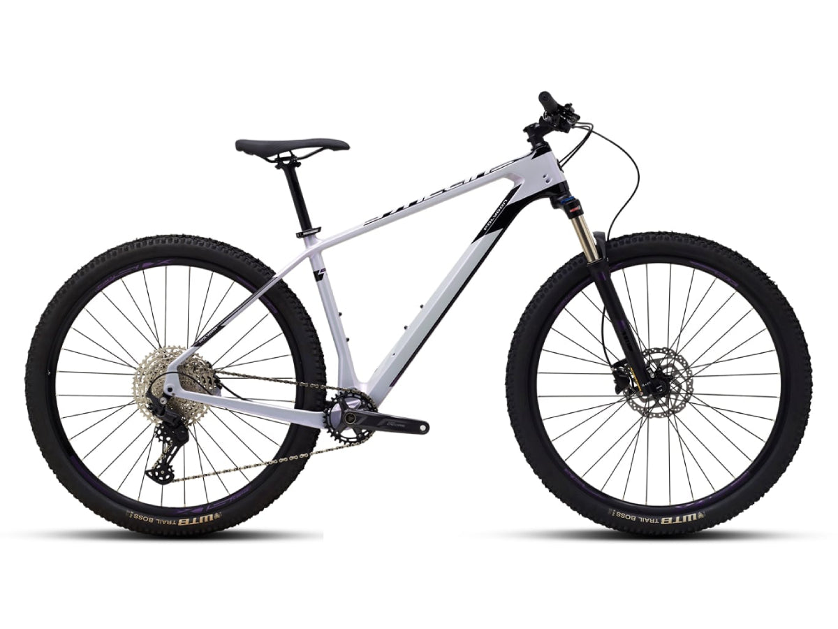 Polygon Syncline C2 27.5 (2024)