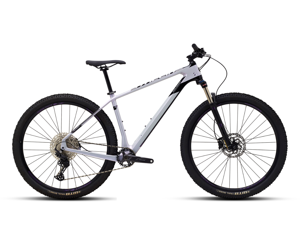 Polygon Syncline C2 29 (2023)