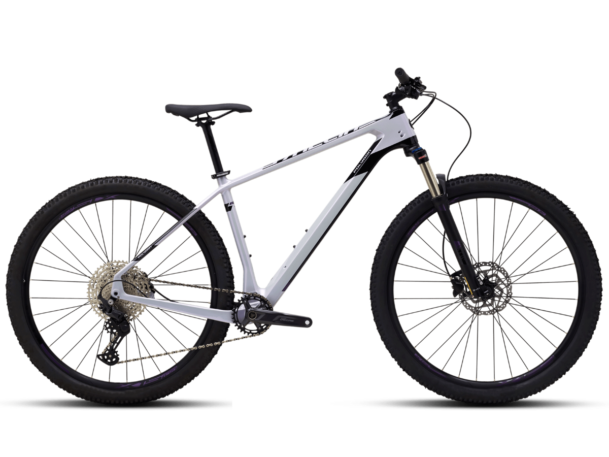 Polygon Syncline C2 29er (2021)