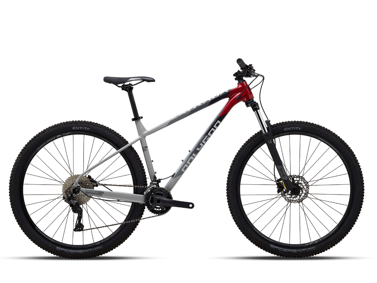 Polygon Xtrada 5 29 (2022)