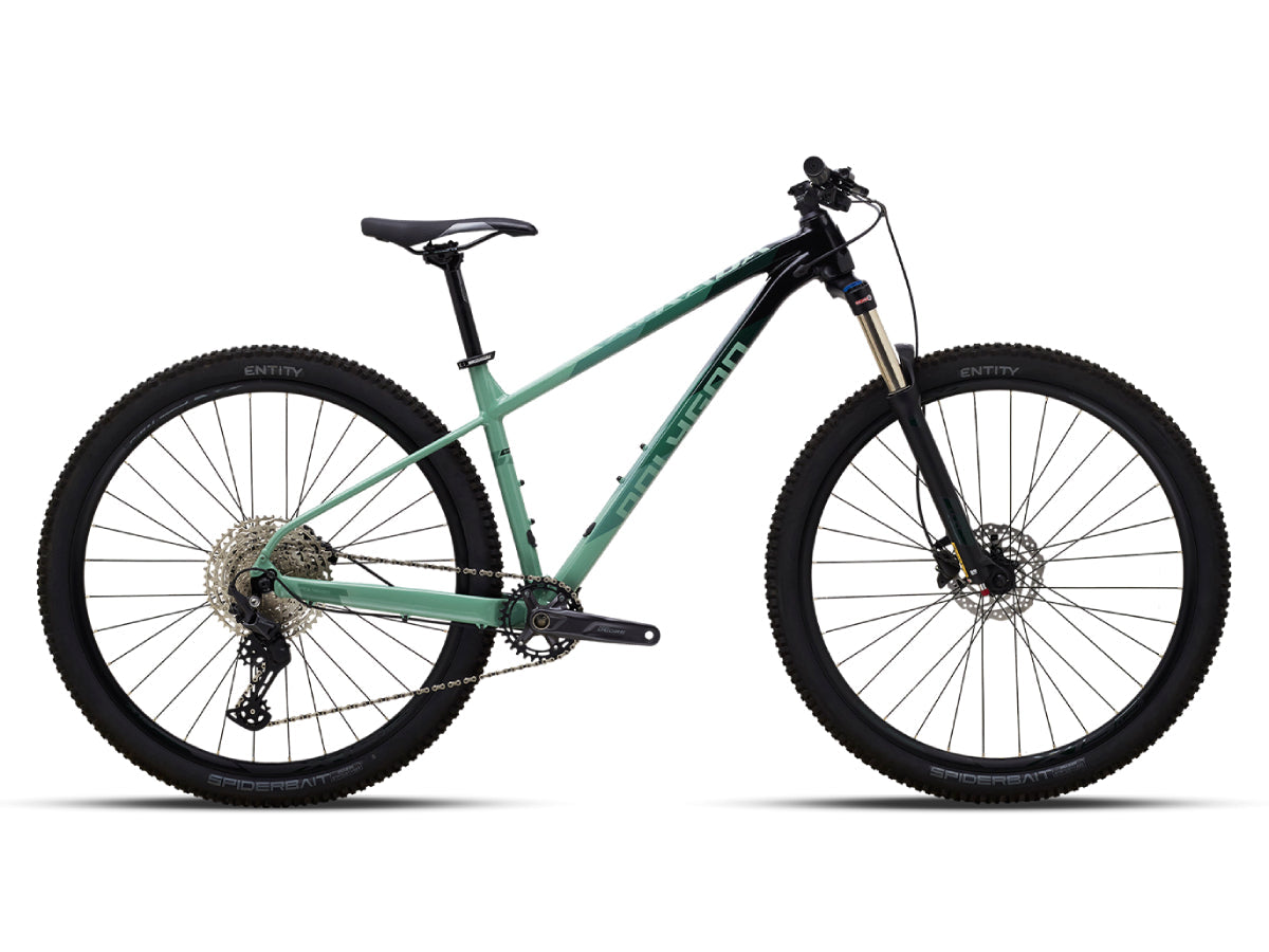 Polygon Xtrada 6 29 (2024)