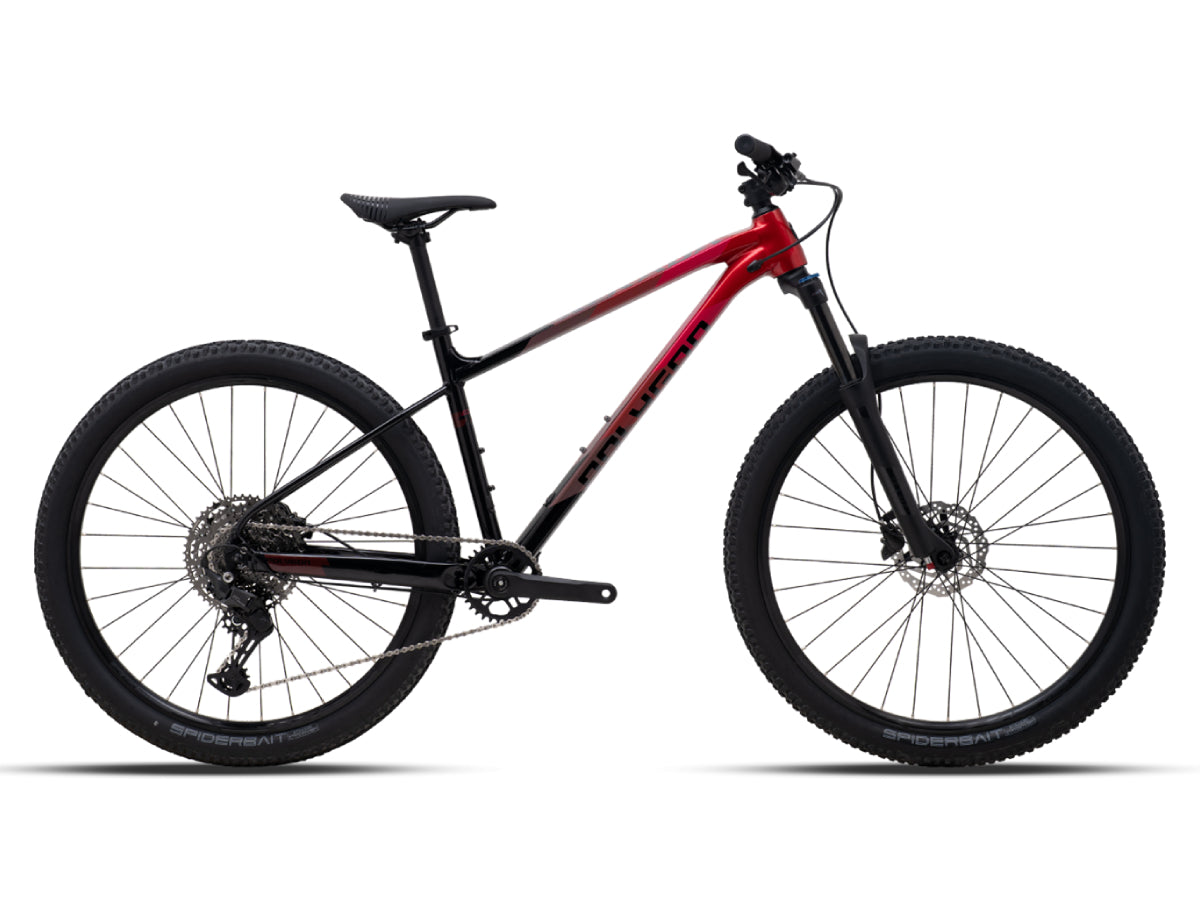 Polygon Xtrada 6 29 (2024)