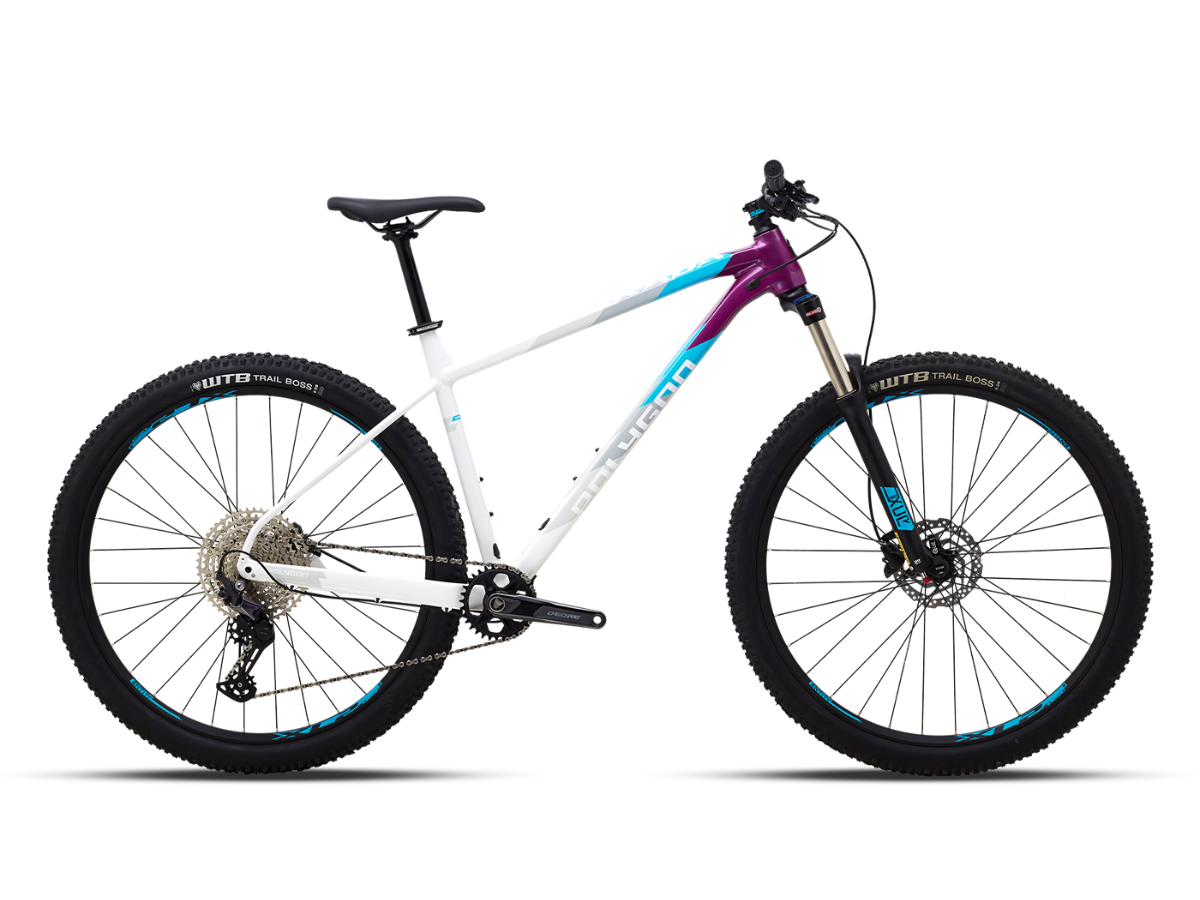 Polygon Xtrada 7 29 (2022)