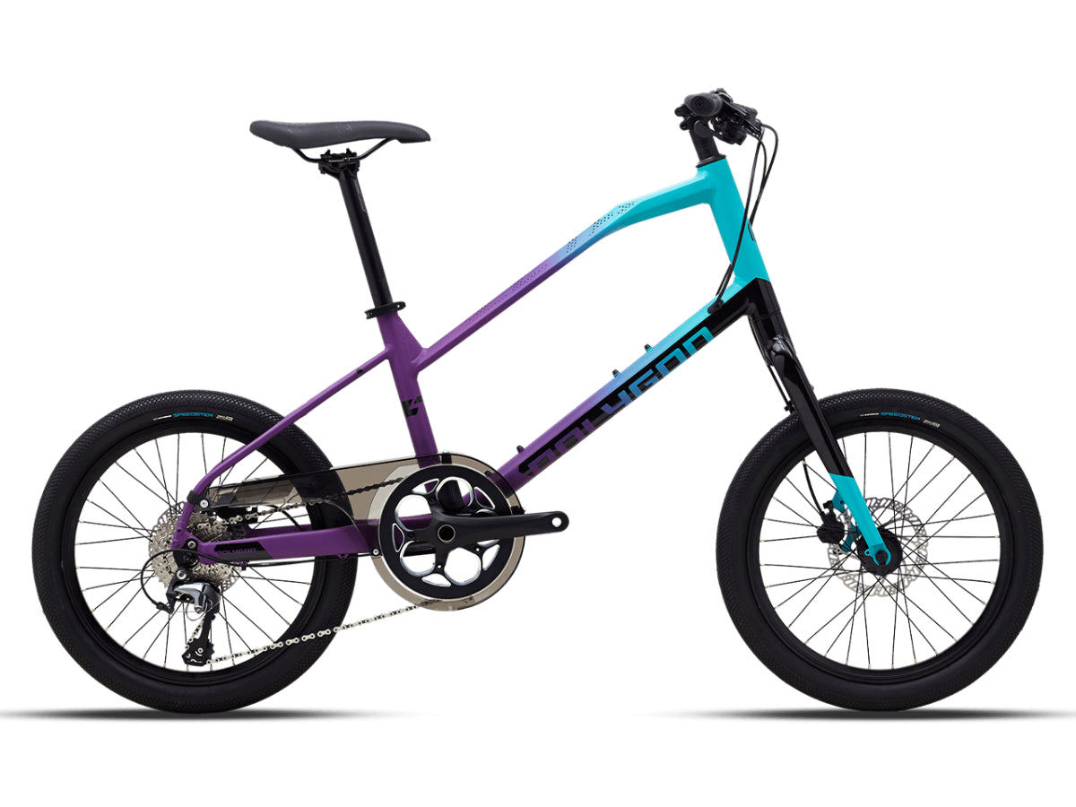 Polygon Zeta 2 (2023)