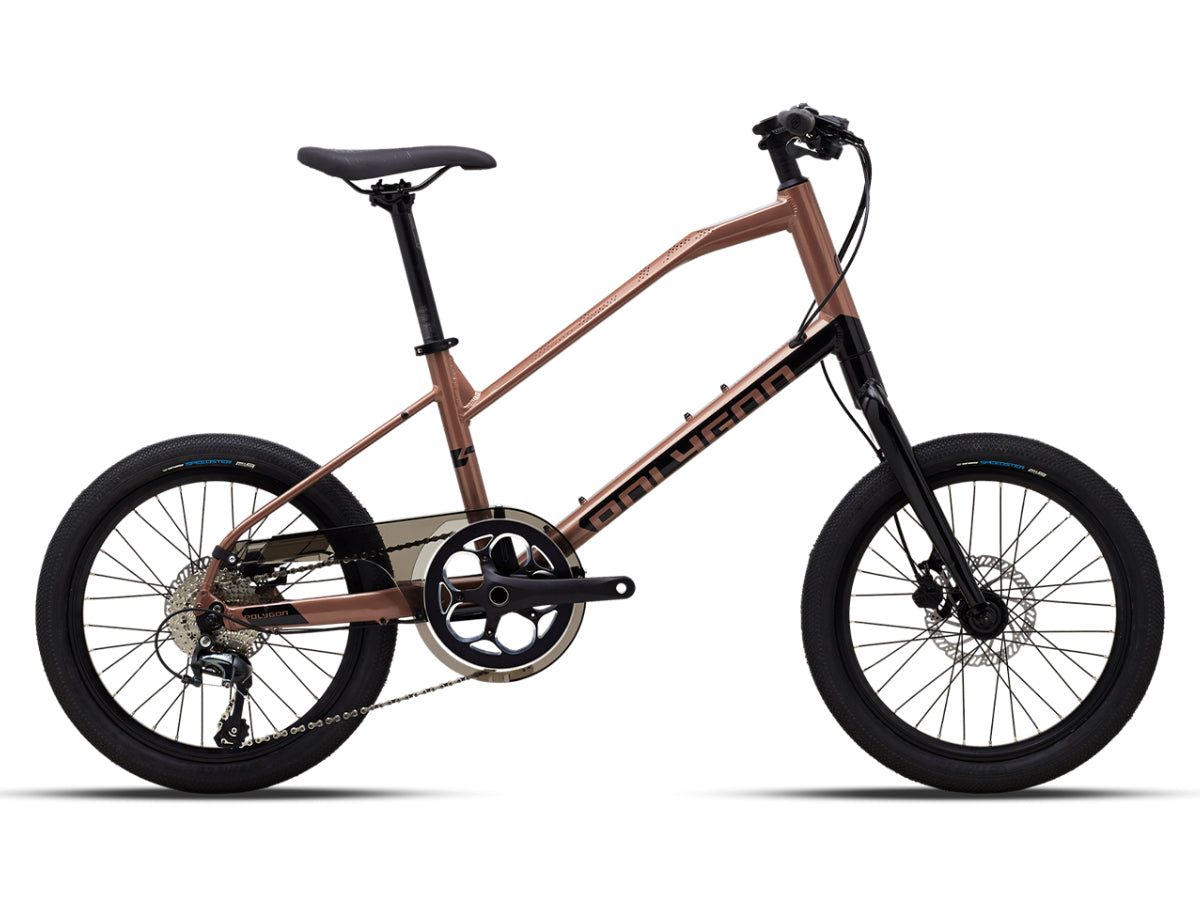 Polygon Zeta 2 (2023)