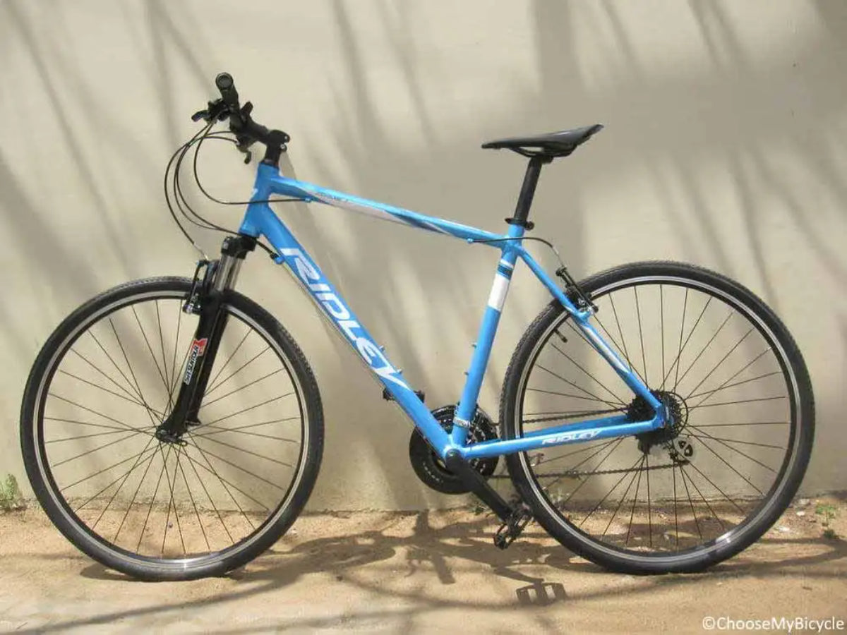 Ridley Cordis 1