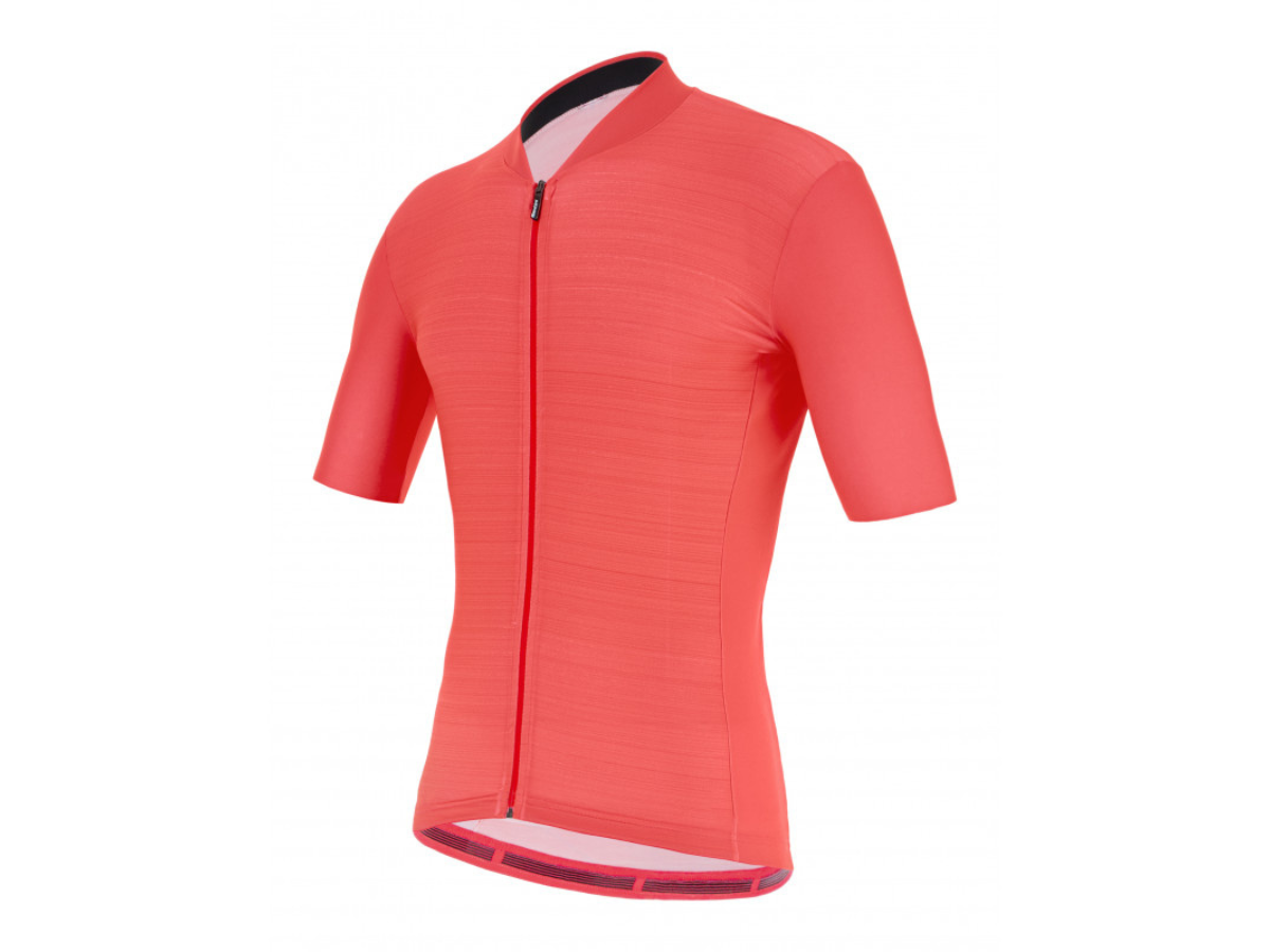 Santini Colore Jersey - Granatina