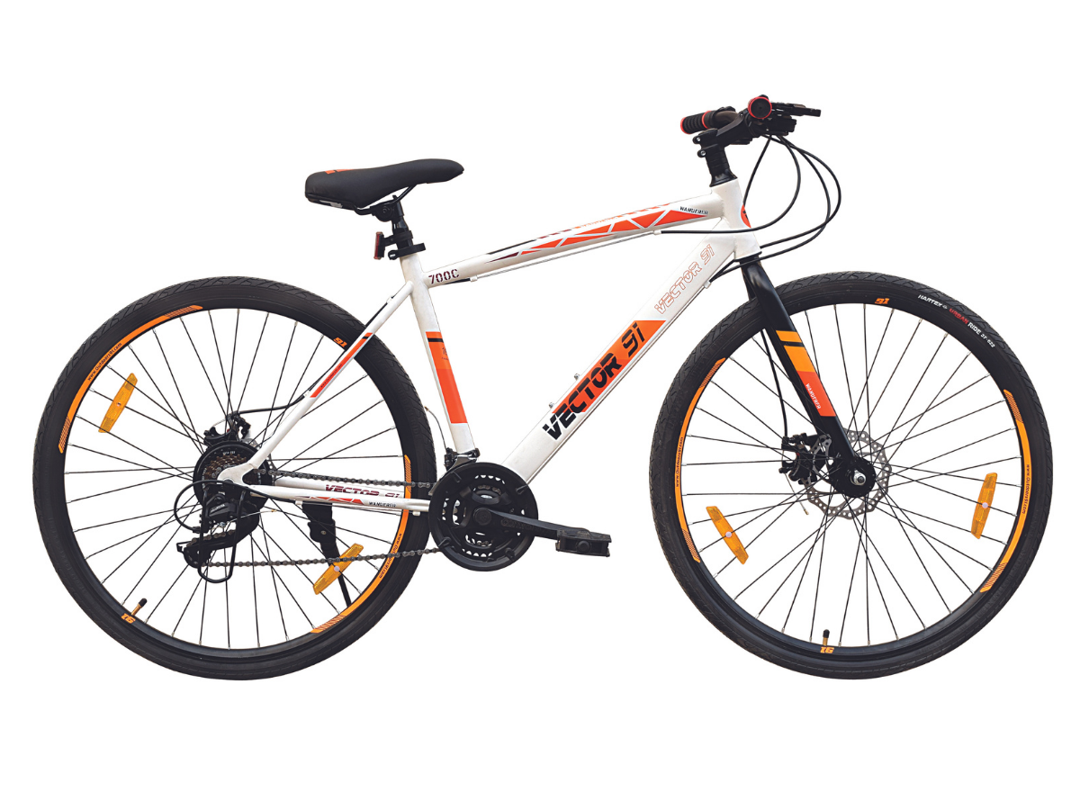 Vector 91 Wanderer Pro 700c