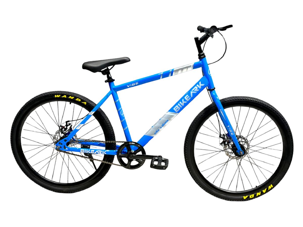 Bike Ark 26 Vibe SS Bicycle