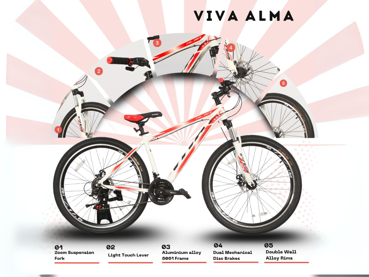 Viva Alma 27.5