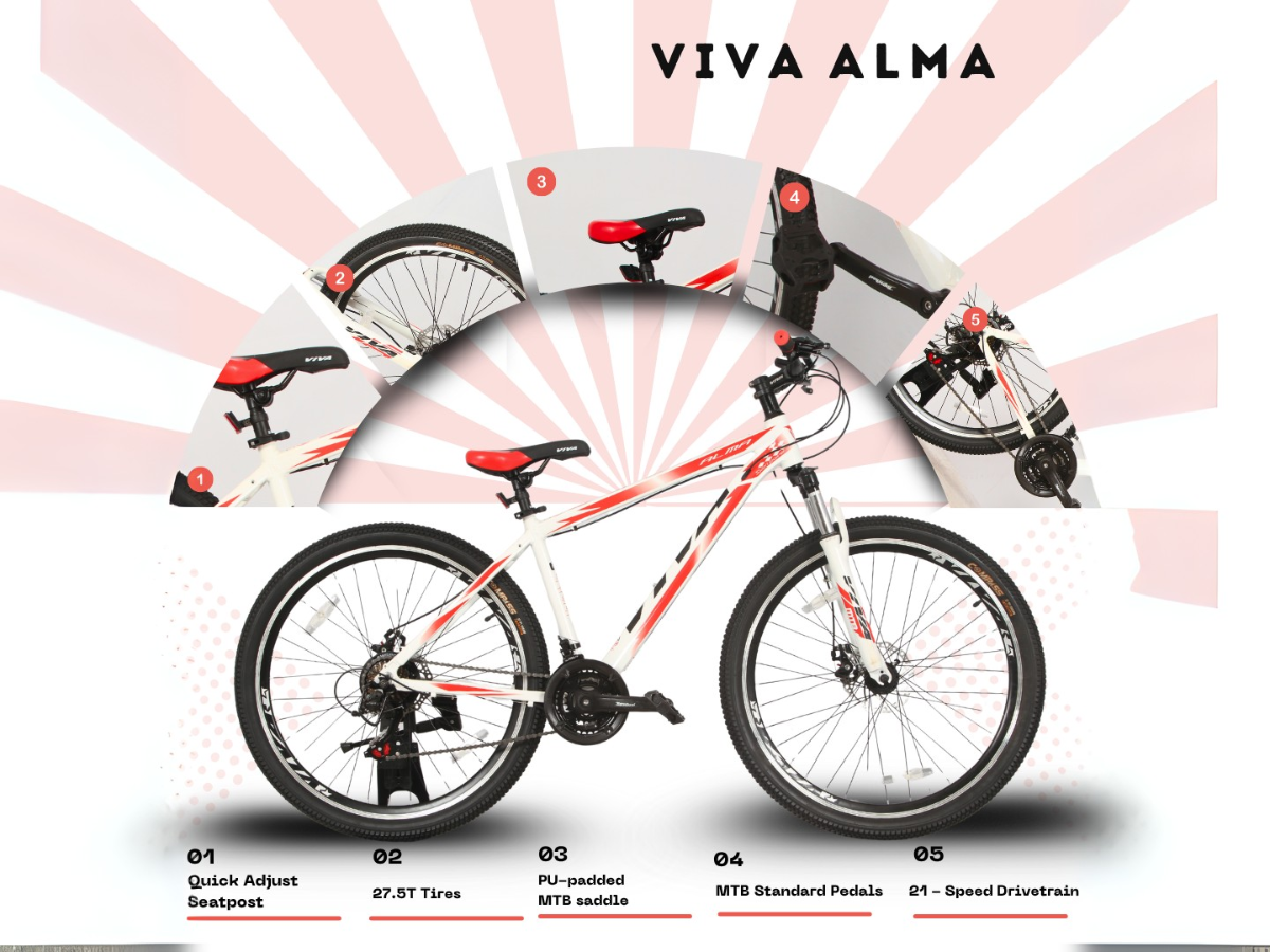 Viva Alma 27.5
